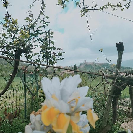I Castagnini Lägenhet Montecatini Val di Cecina Exteriör bild