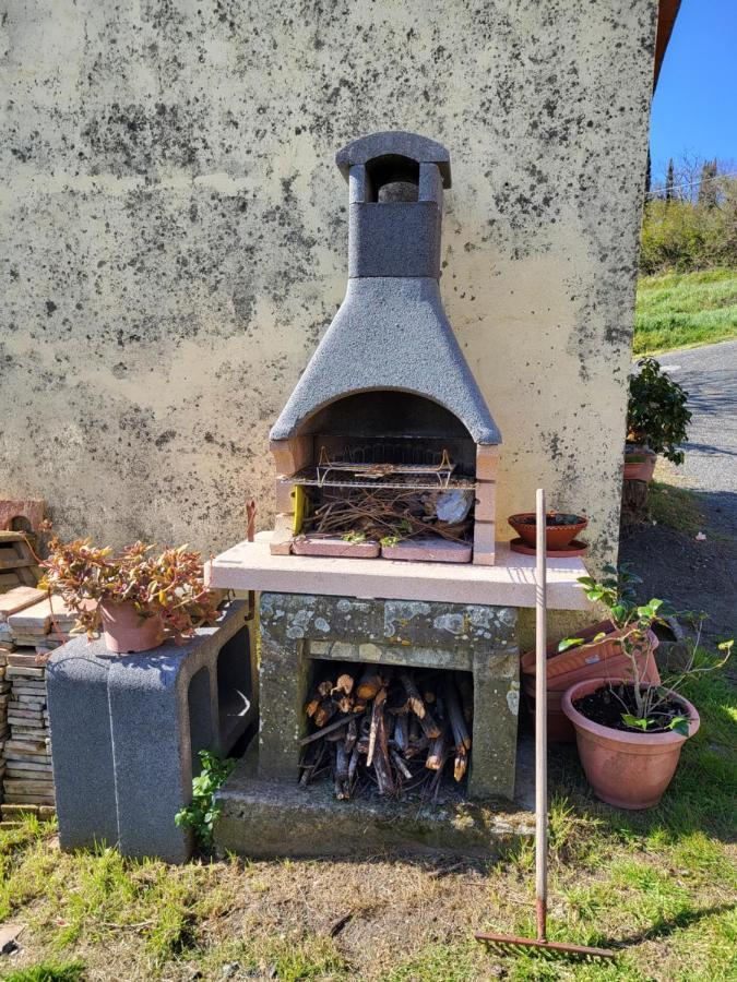I Castagnini Lägenhet Montecatini Val di Cecina Exteriör bild
