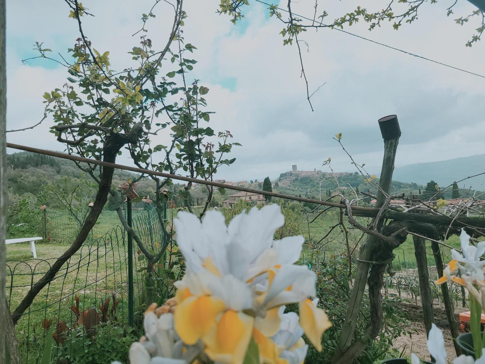 I Castagnini Lägenhet Montecatini Val di Cecina Exteriör bild