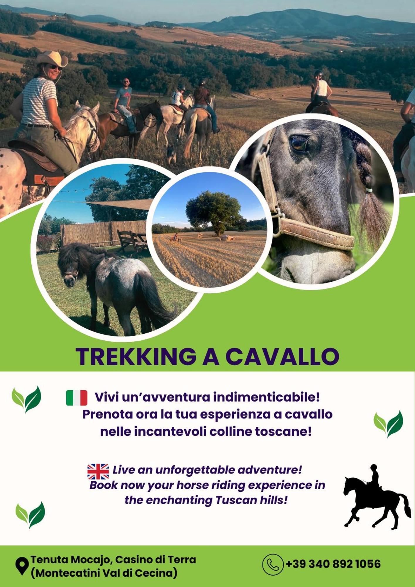 I Castagnini Lägenhet Montecatini Val di Cecina Exteriör bild