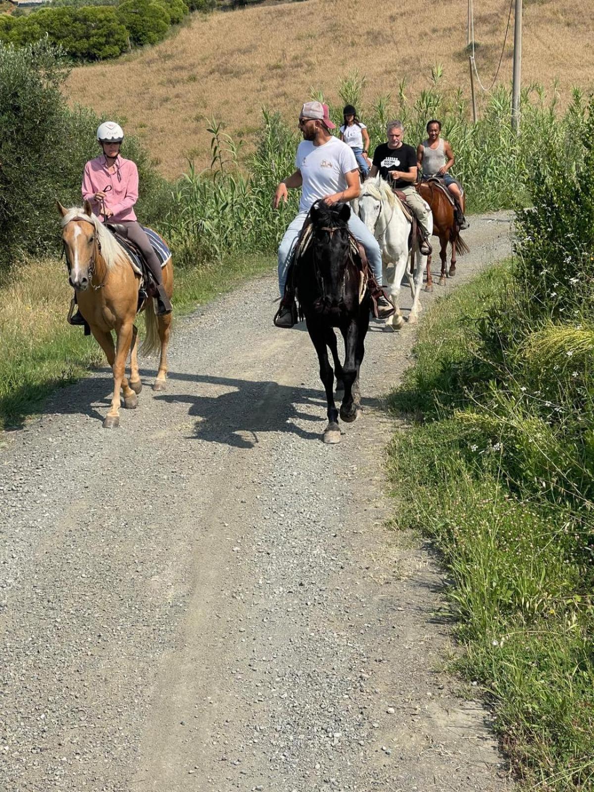 I Castagnini Lägenhet Montecatini Val di Cecina Exteriör bild