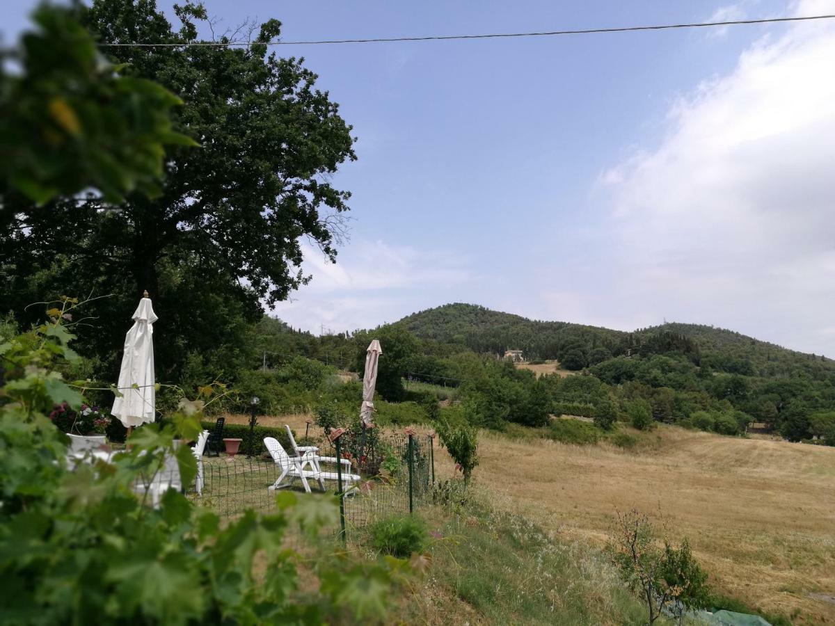 I Castagnini Lägenhet Montecatini Val di Cecina Exteriör bild