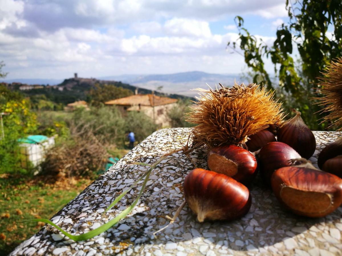 I Castagnini Lägenhet Montecatini Val di Cecina Exteriör bild