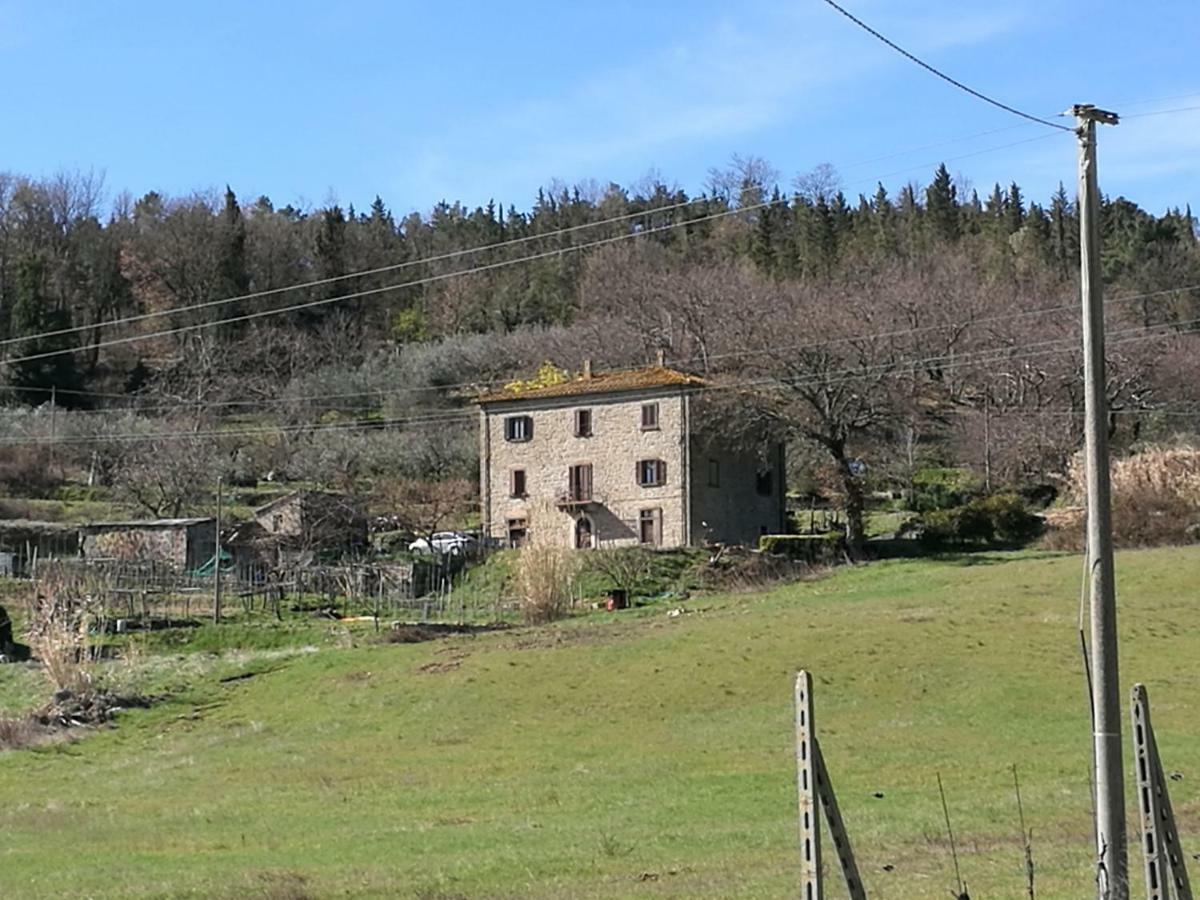 I Castagnini Lägenhet Montecatini Val di Cecina Exteriör bild